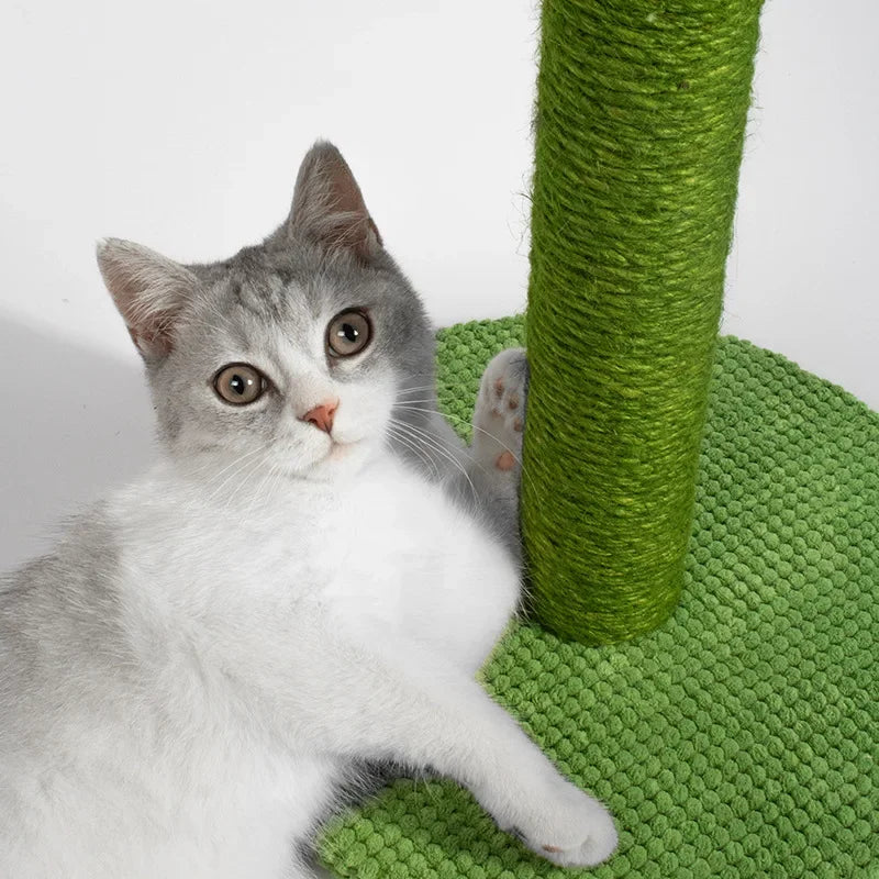 Cactus Cat Scratching Posts Sisal Rope
